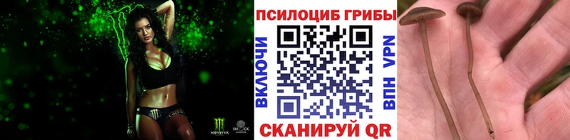 Псилоцибиновые грибы Magic Shrooms  Лахденпохья 