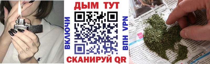Марихуана план  магазин продажи   Лахденпохья 